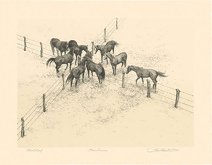 Bev Doolittle Limited Editions and Originals